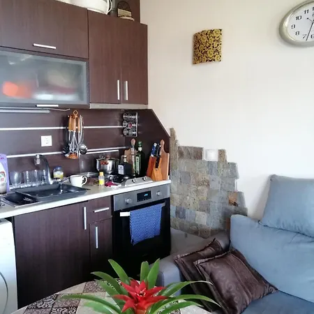 Apartment Cozopol Budjaka *