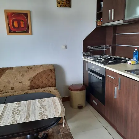 Cozopol Budjaka Apartment *