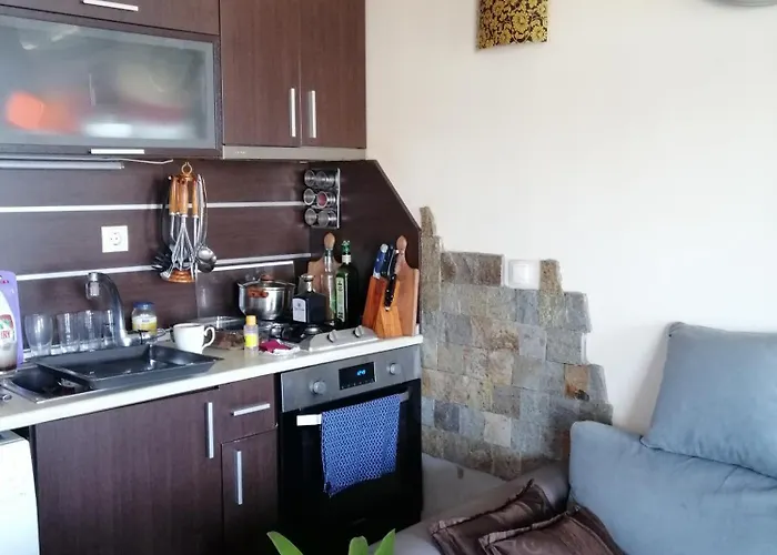 Daire Cozopol Budjaka *